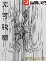 无可脱罪小说阅读