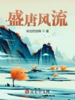 盛唐风流小说阅读