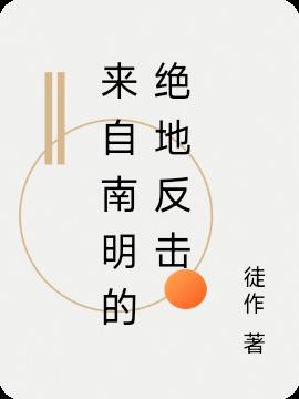 来自南明的绝地反击小说阅读