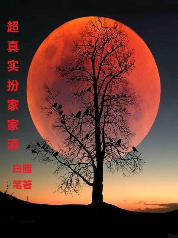 超真实扮家家酒小说阅读