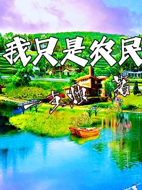 我只是农民小说阅读