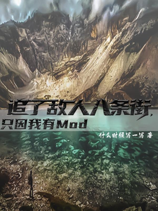 追了敌人八条街，只因我有Mod小说阅读