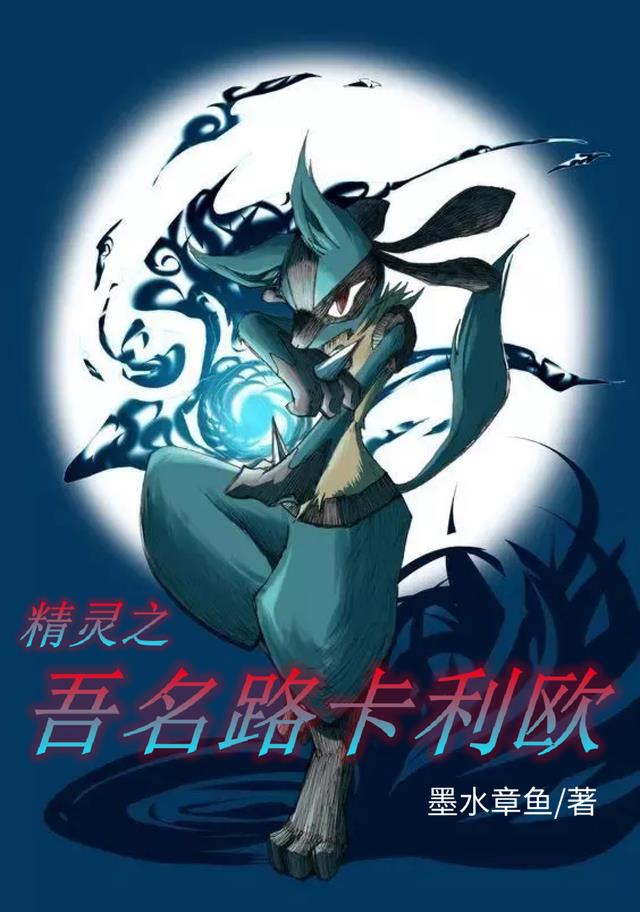精灵之吾名路卡利欧小说阅读