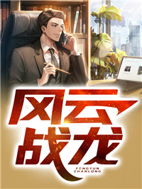 风云战龙小说阅读