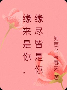 缘来是你，缘尽皆是你小说阅读