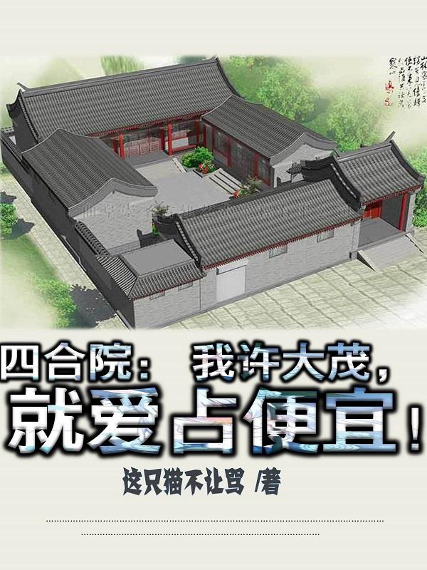 四合院：我许大茂，就爱占便宜！小说阅读