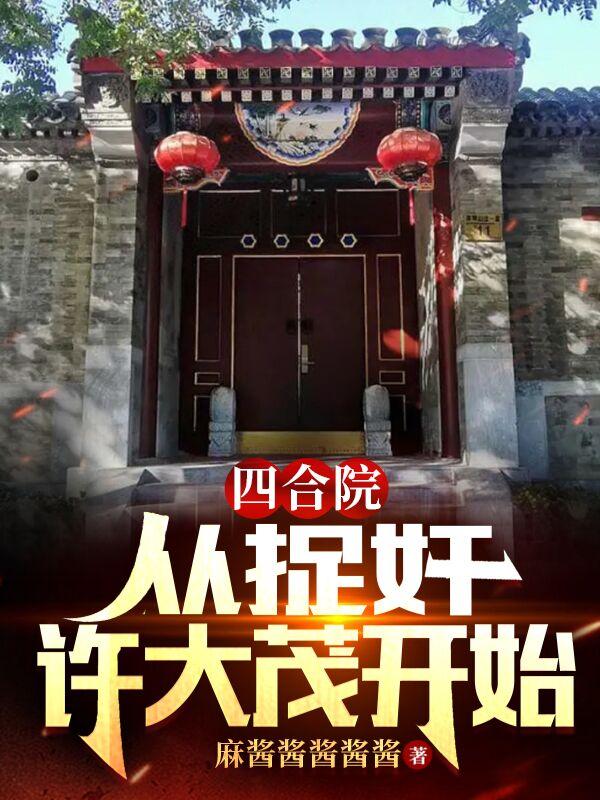 四合院，从捉奸许大茂开始小说阅读