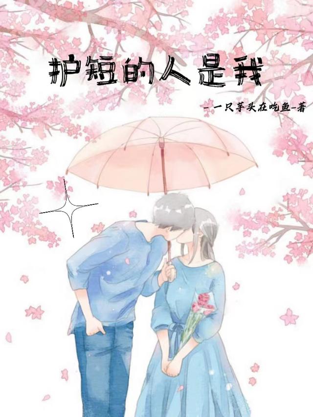 护短的人是我小说阅读