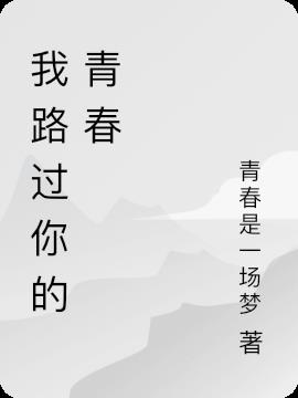 我路过你的青春小说阅读