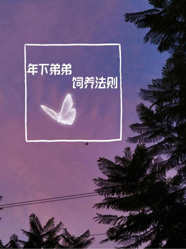 年下弟弟饲养法则小说阅读