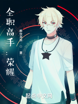 全职高手：荣耀小说阅读