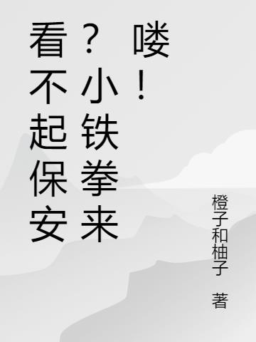 看不起保安？小铁拳来喽！小说阅读