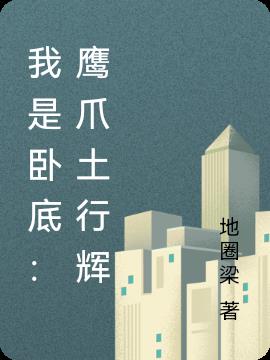 我是卧底：鹰爪土行辉小说阅读