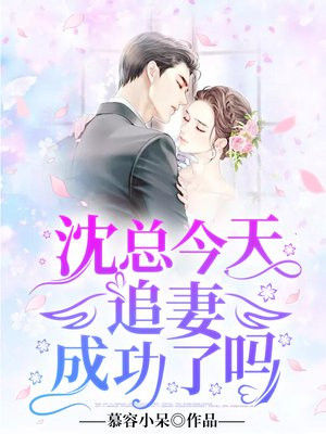 沈总今天追妻成功了吗小说阅读
