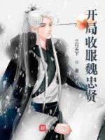 开局收服魏忠贤小说阅读