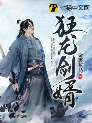 狂龙剑婿金裘花马小说阅读
