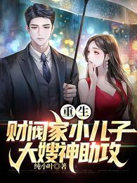 重生财阀家小儿子，大嫂神助攻纯小叶小说阅读