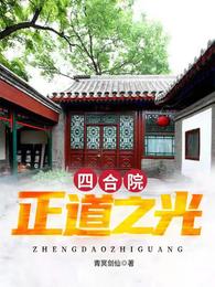 四合院：正道之光小说阅读