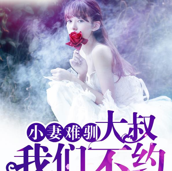 小妻难驯：大叔，我们不约小说阅读