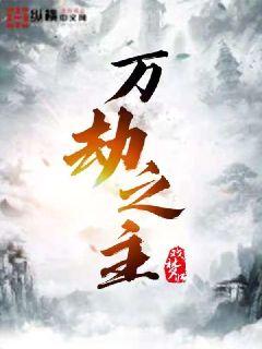 万劫之主黎枫黎云峰小说阅读