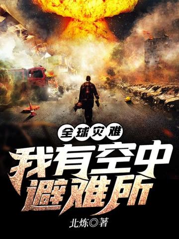 全球灾难之我有空中避难所小说阅读