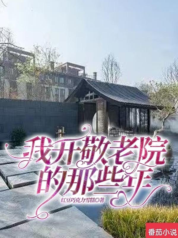 我开敬老院的那些年小说阅读