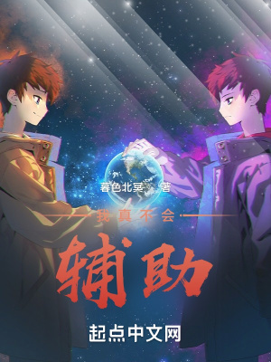 我真不会辅助小说阅读