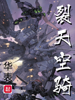 陈非沈菲小说阅读