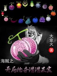海贼之开局抢夺滑滑果实小说阅读
