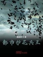 都市护花兵王小说阅读