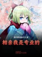 相亲我是专业的小说阅读