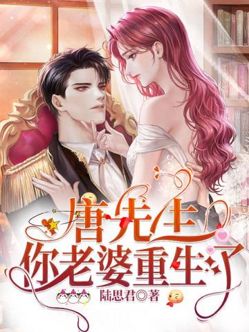 唐先生，你老婆重生了小说阅读