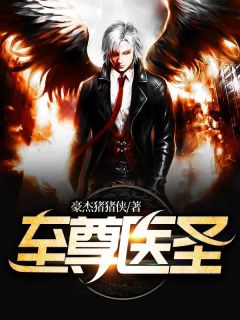 至尊医圣小说阅读