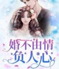 婚不由情负人心小说阅读