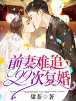 前妻难追，99次复婚小说阅读
