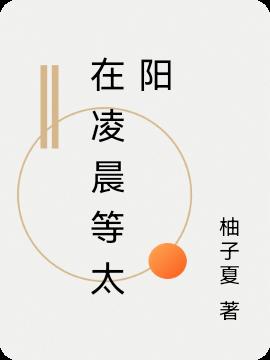 在凌晨等太阳小说阅读