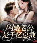 宠妻入骨：我闪婚了个财阀大佬全本阅读小说阅读