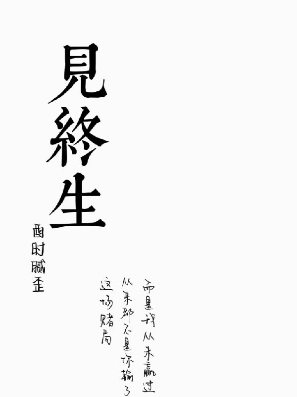 见终生小说阅读