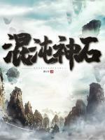 混沌神石小说阅读