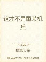 这才不是重装机兵小说阅读