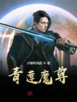 青莲魔尊小说阅读