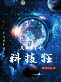 天上掉下个科技狂小说阅读