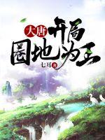 大唐开局圈地为王小说阅读