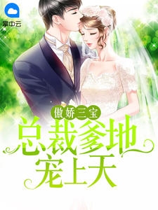 傲娇三宝：总裁爹地宠上天安以甜陆北宸小说阅读