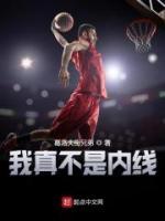 我真不是内线小说阅读