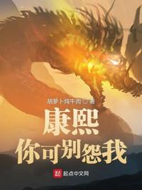 康熙，你可别怨我小说阅读