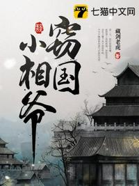 窃国小相爷小说阅读