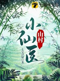 山村小仙医小说阅读