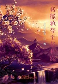 我能抢夺主角机缘小说阅读