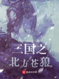 三国之北方苍狼小说阅读